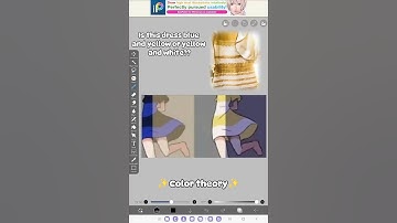 Why is color theory so confusing 😭😭😭 || Is this dress blue and black or yellow and white?? EXPLAINED