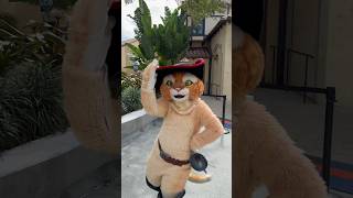 Puss in Boots is my hero! #pussinboots #dreamworks #universalstudios #shorts