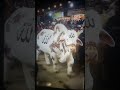 "MashaAllah, Cattle Market Ka King Aa Gaya! 👑✨"