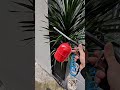 Bình xịt dầu nhớt khí nén 750ml kako store #kakostore #phundauhoibinhdo #phundauhoikhinen