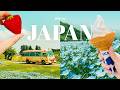 Overnight trip to Chiba, Japan ⛰️🇯🇵 (glamping, flower fields and hiking) travel vlog