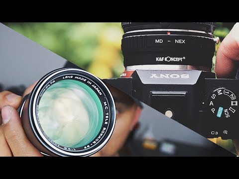 K&F Lens Adapter Review - SAVE MONEY & ADAPT VINTAGE LENSES!