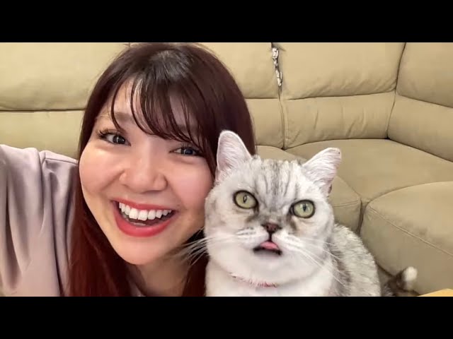 しっかり初級中国語 Amazon.co.jp: しっかり初級中国語 : 石田 友美: 本