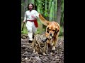jesus saved dogs #oração #oração #funny #oraçãodanoite #animals #comedy #jesus #amen