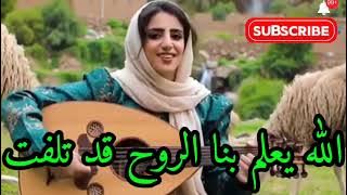 رضاك خير من الدنيا ومافيها تراث يمني اغاني عود قديمه جلسات يمانيه ترند الاغاني فن يمني بودكاست الفن