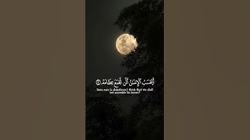 بعض من الآيات من سورة القيامة بصوت الشيخ محمد خالد...#قران #ديني #الشيخ_محمد_خالد #fyp