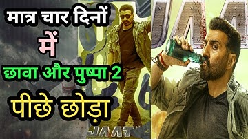 Box Office Collection of Jaat | Sunny Deol & Randeep Hooda | Day 4 #jaatboxofficecollection #review