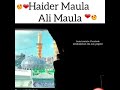 Haider Haider whatsapp status || Maula Ali as Whatsapp Status Video Download Free