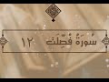 سورة فصلت الآية 12 تفسير الشيخ الشعراوي قليل دائم خير