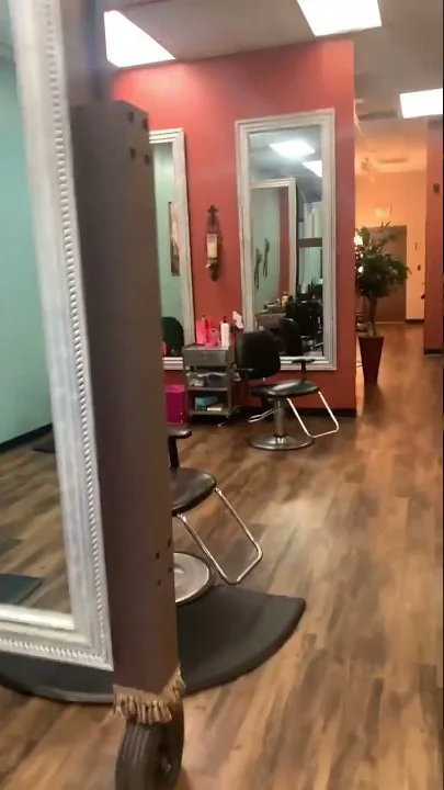 Renee Rexine Salon preview video (Take a look insi...