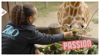 #Portrait | Devenir soigneur animalier !
