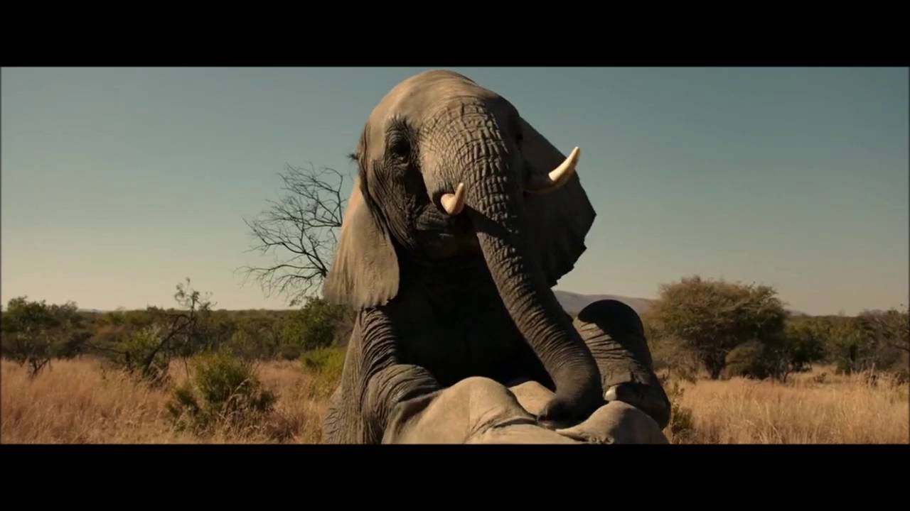 Elephant 2003 sex scene