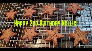 Happy 2nd Birthday Nellie! by A Little Bit of This 87 views 1 year ago 1 minute, 1 second
