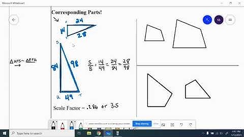 Geo 6.1 Similar Figures