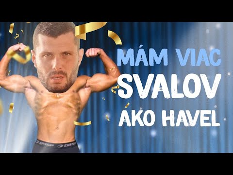 Bezvýznamná nula, slovenský poslanec Glück, se naváží do Havla. Češi bojují s vosami