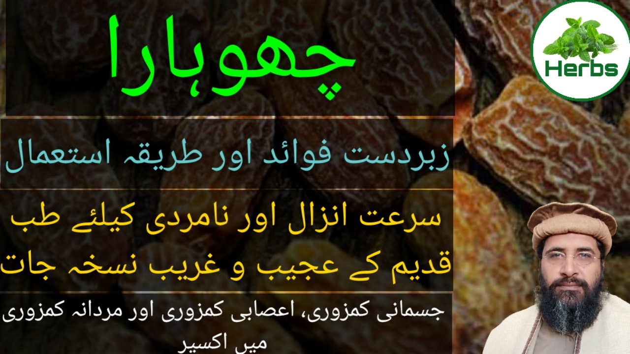Health Benefits of Dry Dates Urdu choharay ke fayde چھوہارا کے