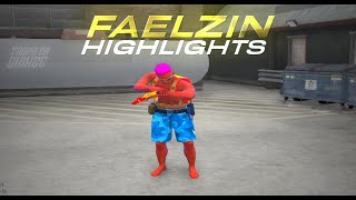 HIGHLIGHTS FIVEM FAELZIN #28