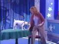Maggie The Amazing Math-Wiz Dog on Animal Planet Maggie The Amazing Math-Wiz Dog on Animal Planet