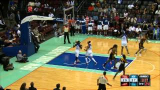 Celebrity Skylar Diggins Highlights vs New York Liberty Profile