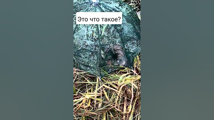 Это что такое?... залезло в раколовку