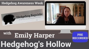 What is a Hedgehog Republic? | Hedgehog
