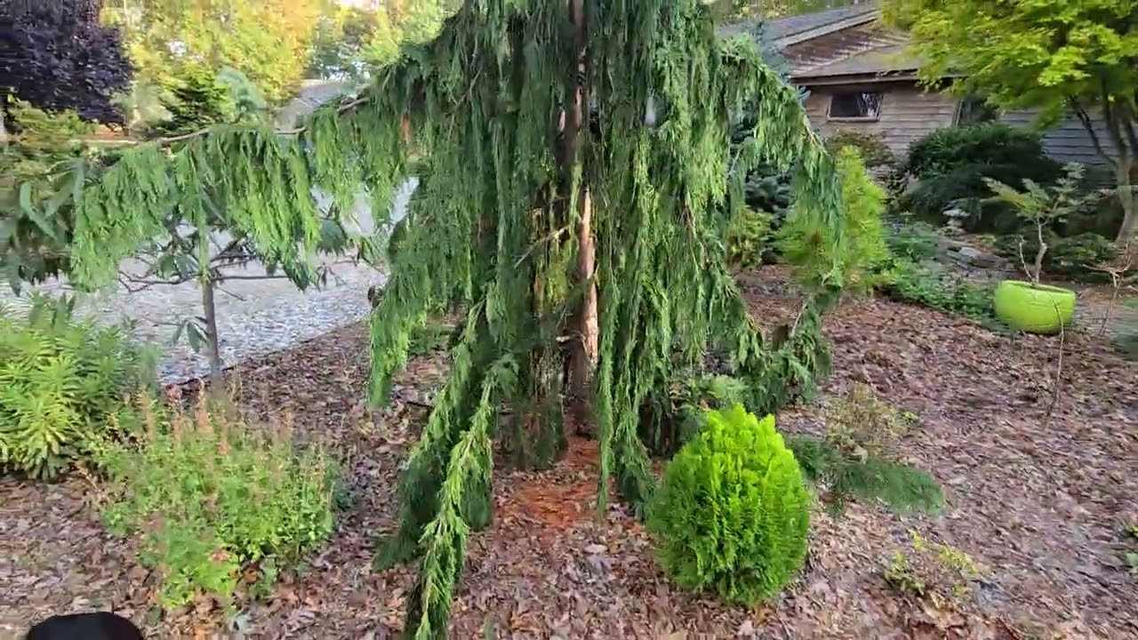 Cape Cod Garden Tour 10/24/25