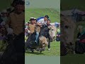 Strength and courage in a yak challenge