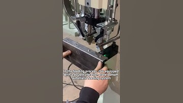 Double-grain Automatic Synchronous Feeding Rivet Machine# #rivet