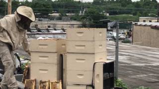 IMG 0603 2