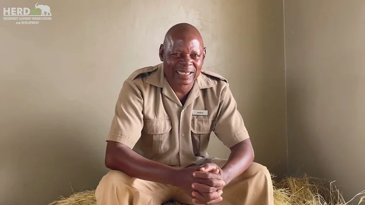 Carer Conversations | With Senior Elephant Carer, ...