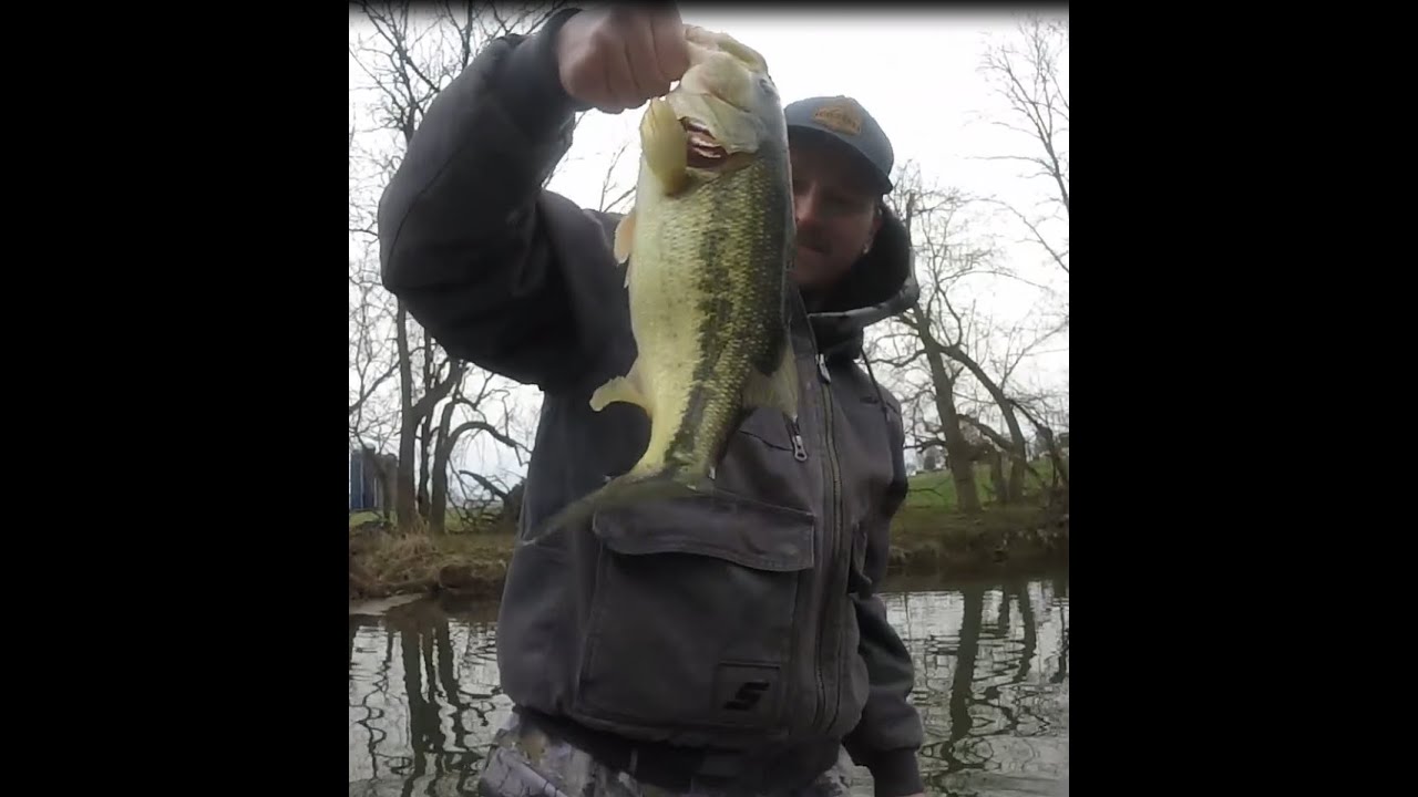 Largemouth Bass fishing creek on the new POND PROWLER.