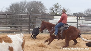 Lizzagottachula - roping and working cows! - ValleyViewRanch.net