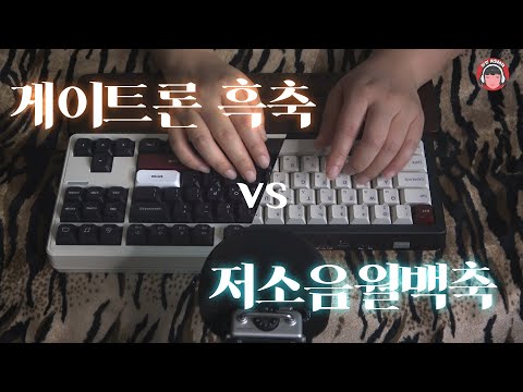 [ASMR] 흑백타건왕! 흑축과 백축의 대결 | Zoom H5 | Keyboard ASMR