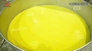 High-Capacity Mango Processing Line | Save Labor & Boost Yield