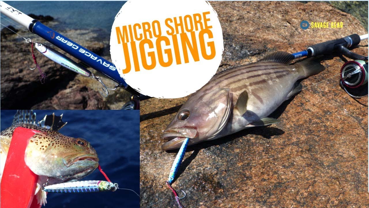 Micro Shore Jigging: Lots of fish with 3D Jig Minnow! 