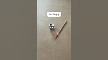 Pencil Sharpener Was Hungry