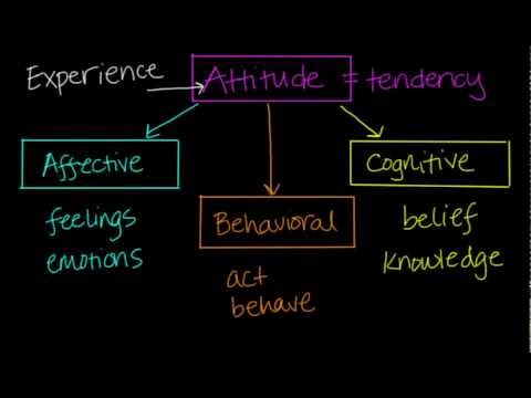 Components Of Attitudes