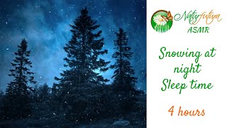 Snowing at night in the forest to sleep time