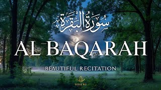 Surah Al-Baqarah Full (سورة البقرة) | Beautiful Quran Recitation for Peace & Protection | Alaa Aqel