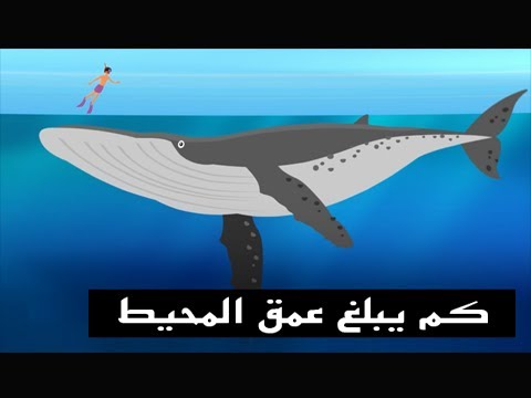 هذا الأنيميشن الرائع شاهد كم يبلغ عمق المحيط حقا لن تصدق ماذا يوجد أسفل المحيط Youtube