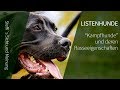 Listenhunde ► Kampfhunde und deren Rasseeigenschaften ► Steffi`s Meinung