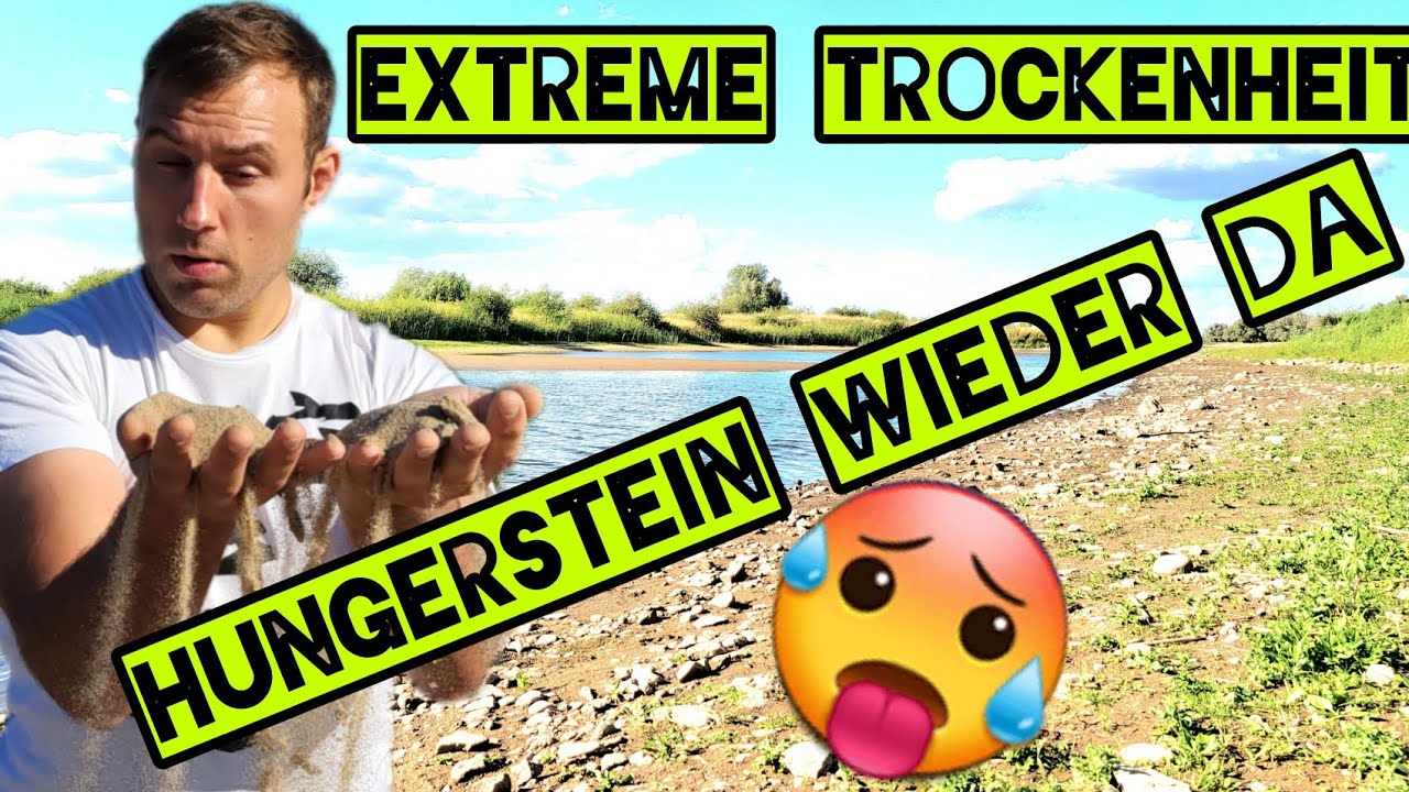 Hungerstein von Bleckede. So eine Dürre gab es schon lange nicht mehr. ☀️😱🥵