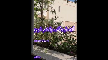 سورة آل عمران.. الآية (55).. بصوت الشيخ القارئ : عبدالباسط عبدالصمد.. رحمه الله 💫💫