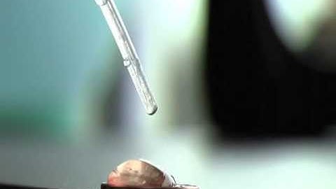 Launchpad: Cohesion and Adhesion On-Board the International Space Station,good