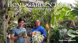 Platycerium Utopia: A Dream Home Garden for Staghorn Enthusiasts | Garden Tour + Pro Tips