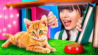 картинка: Строим секретную комнату в шкафу! Секретный домик для кота!