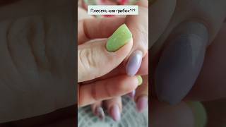 Плесень или грибок? #shortvideo #дизайнногтей #маникюр #nail #nailart #naildesign #shortshorts