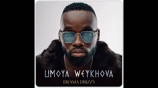 Drama Drizzy  dance For Me Ft Webstar Sa 