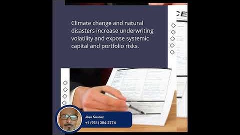 Insurers Turn Complex Risks Into Opportunity