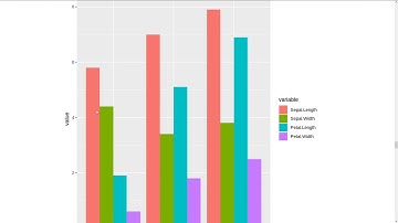 R Visualization Tutorial 3-1. ggplot2 - 히스토그램, 바차트